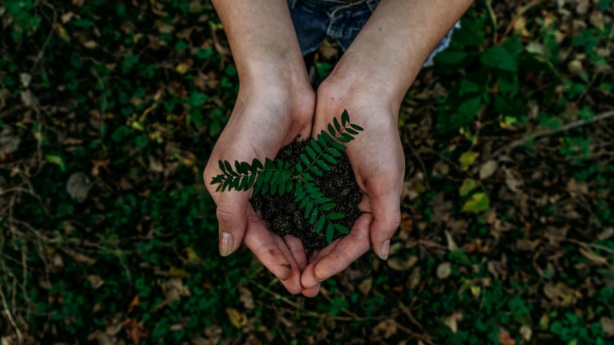 Sustainable Habits for Everyday Life: Eco-Friendly Changes